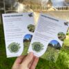 Bon cadeau : Journée d'initiation à la permaculture ou visite guidée – Image 2