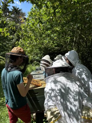 Visite guidée des jardins + initiation à l'apiculture !