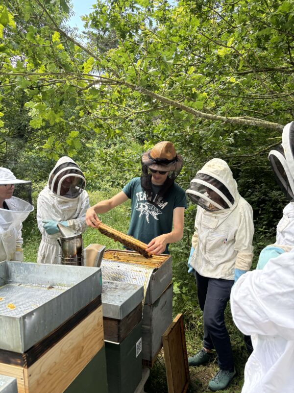 Visite guidée des jardins + initiation à l'apiculture ! – Image 2