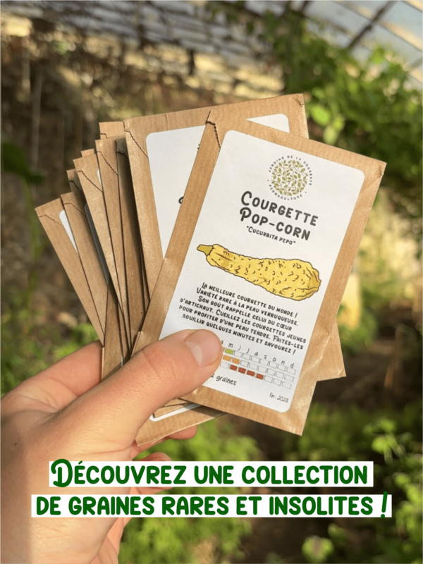 Sachets de graines rares 🌱