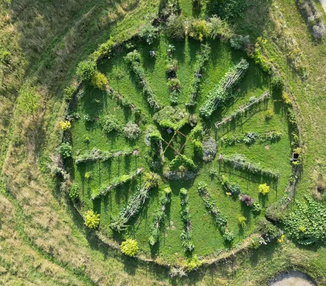 2 mandala