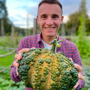 Courge Galeuse du maroc