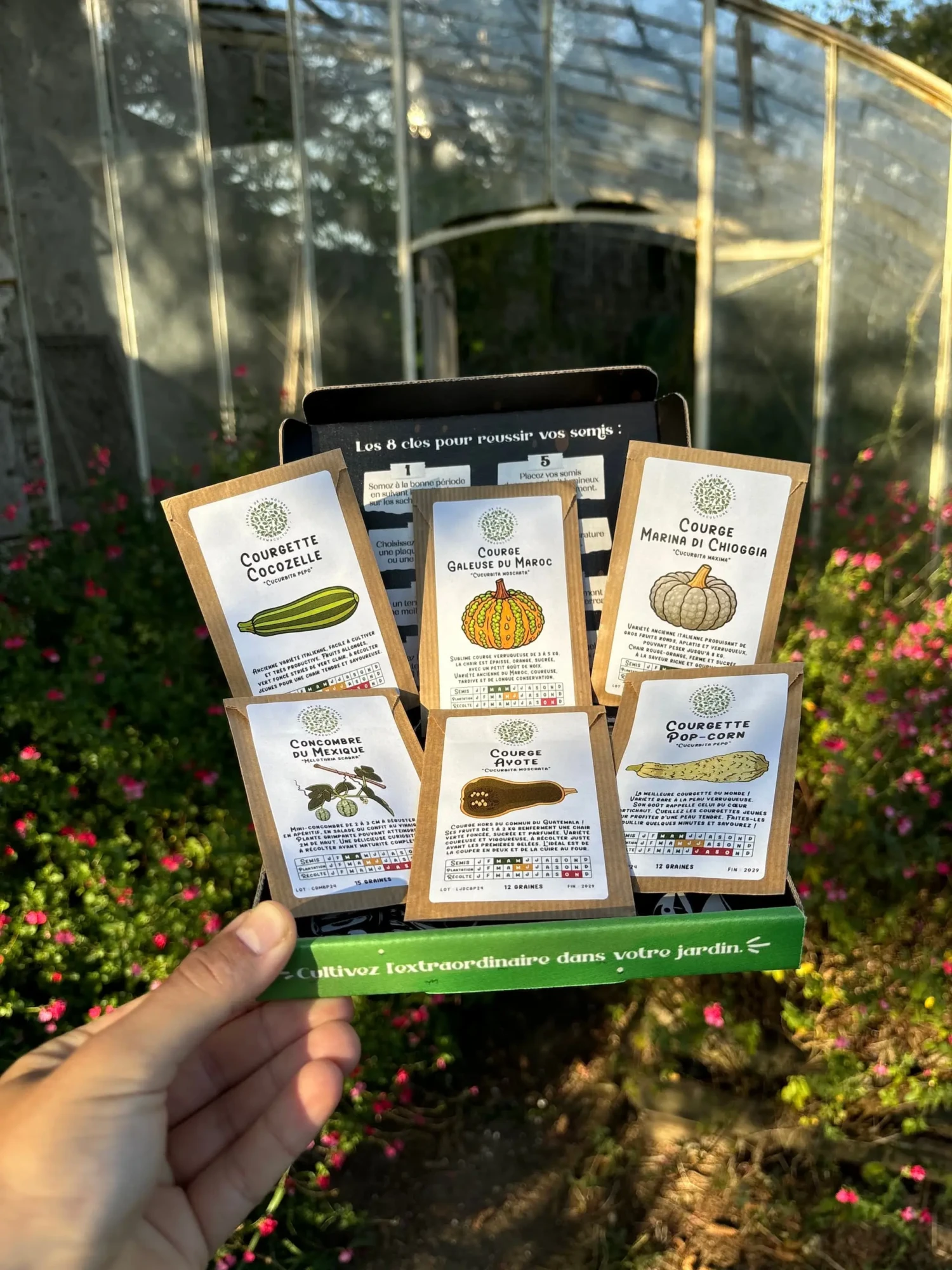 Coffret graines courges rares