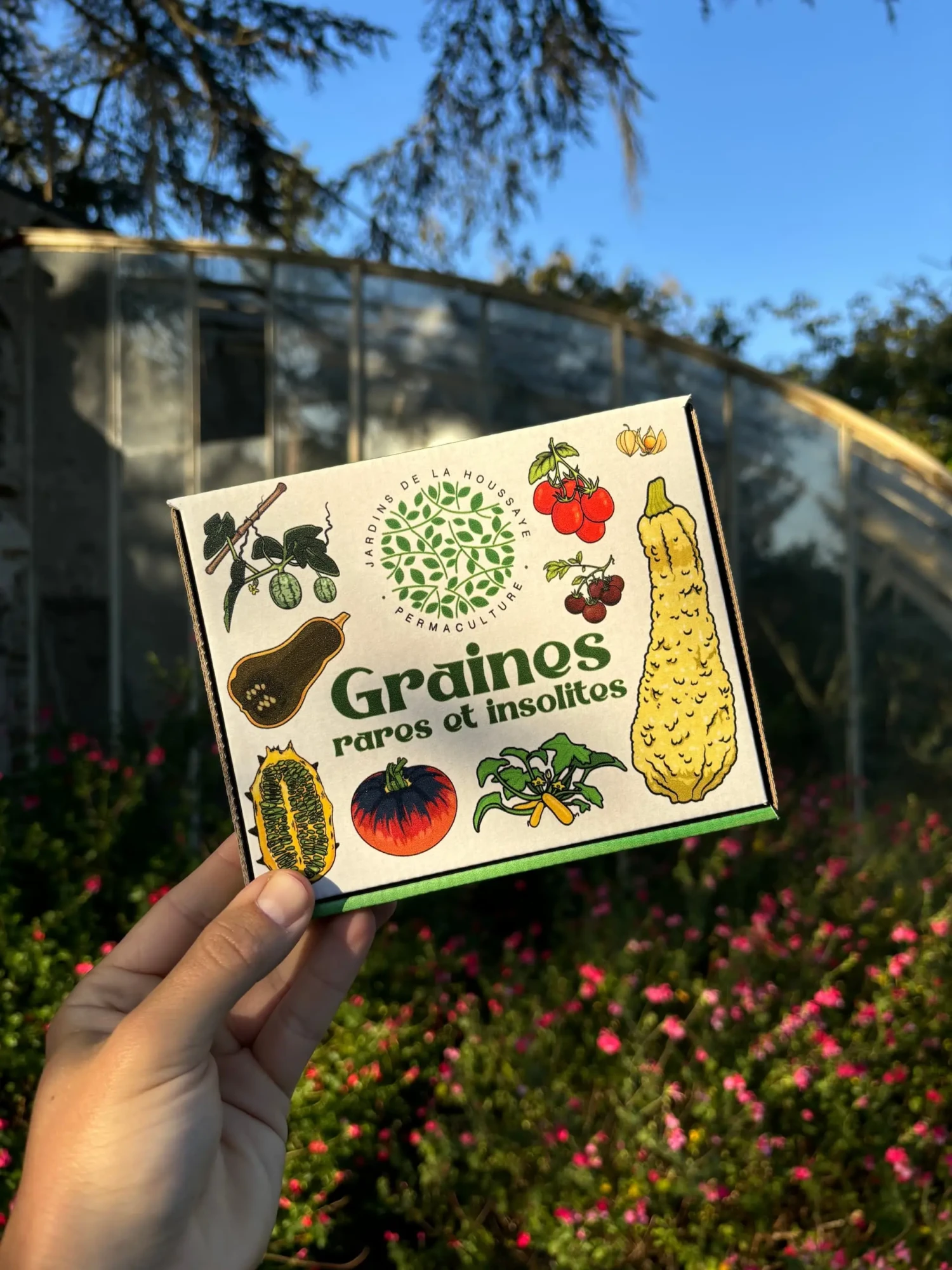 coffret graines insolites et rares