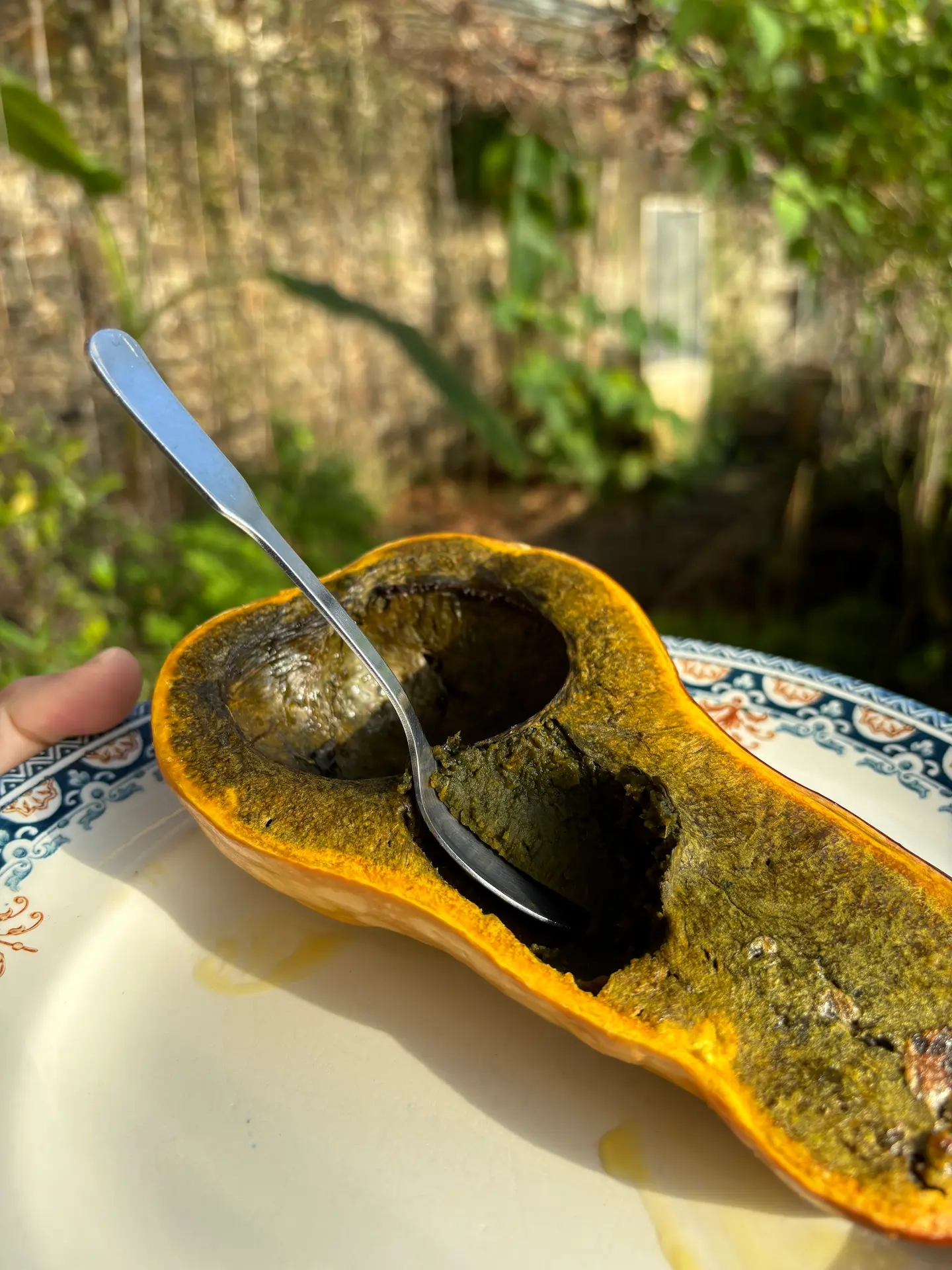 Courge Ayote chair verte