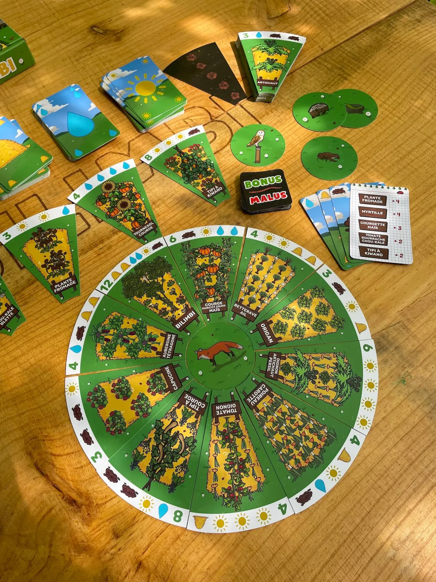 Jeu de société jardin Bilimbi